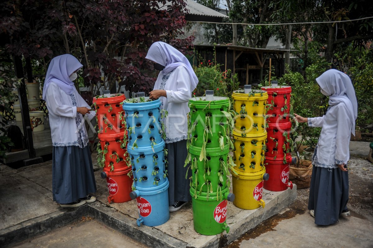 Menumbuhkan Generasi Peduli: Mengupas Tuntas Edukasi Lingkungan Hidup untuk Masa Depan Berkelanjutan